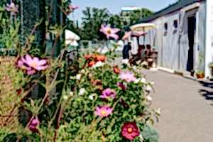 DSC06193-10